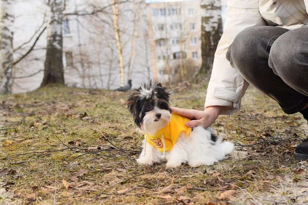 Девочка бивер